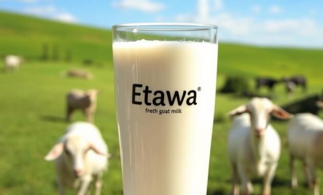 Susu Kambing Etawa dan Kesehatan Pencernaan Susu Kambing Etawa dan Kesehatan Pencernaan